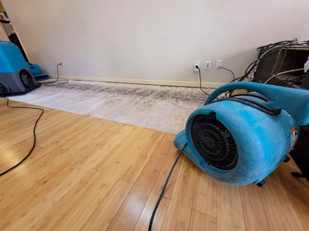 Professional Water Removal technician working in Dazey, ND